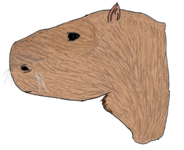 Capybara Wojak