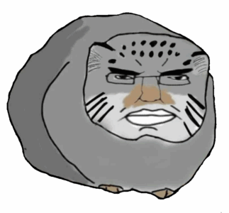 Fat Cat Chudjak