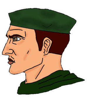 Green Beret Military Chad