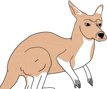 Kangaroo Wojak