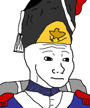 Napolenic Era Grenadier Wojak