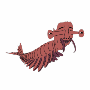Shrimp Chudjak