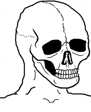 Skull Wojak