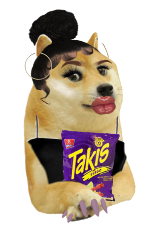 Takis Mexican Girl Cheems